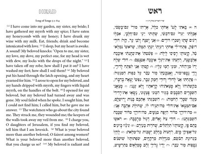 The Celestial Book of Healing "Sefer Shiur Koma"