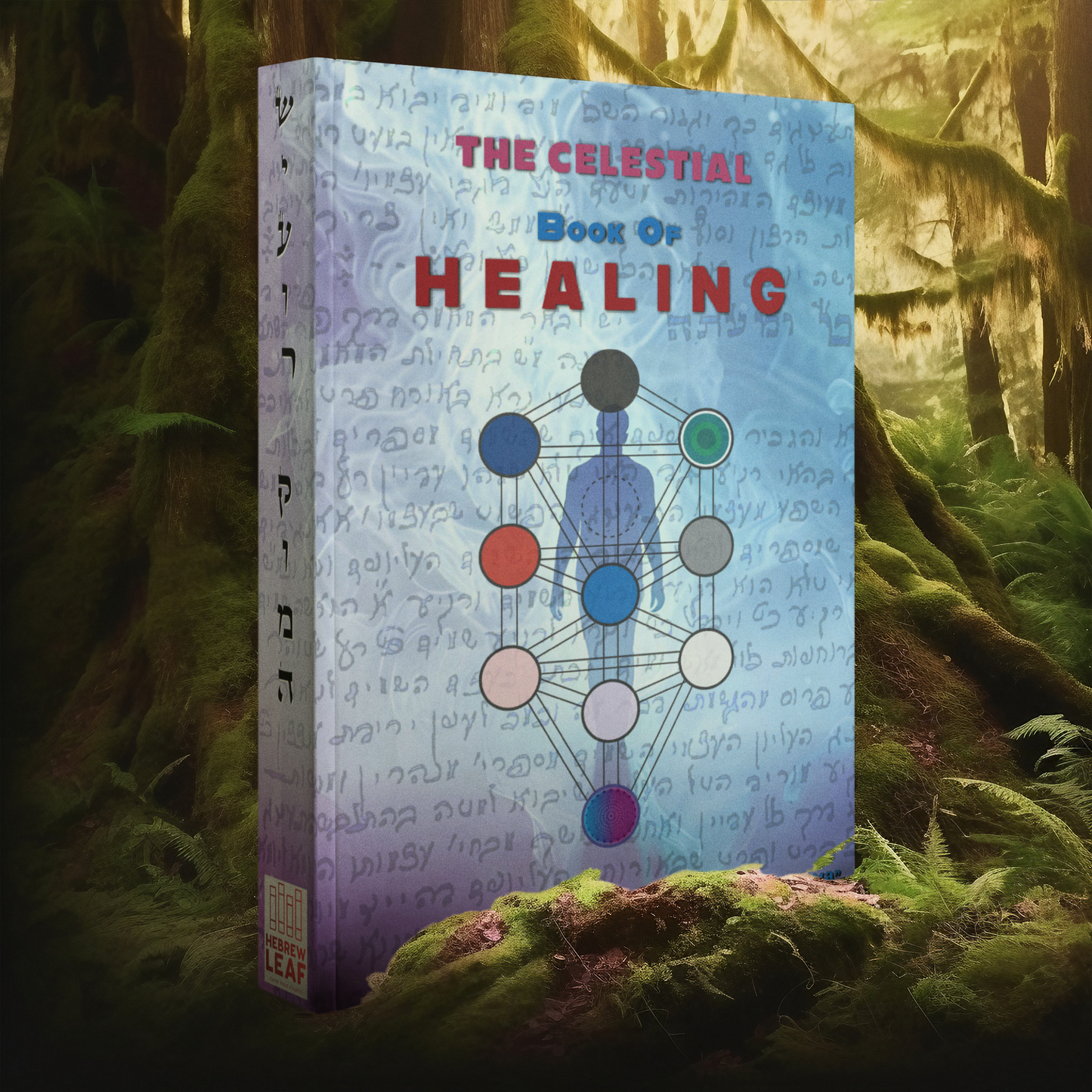 The Celestial Book of Healing "Sefer Shiur Koma"